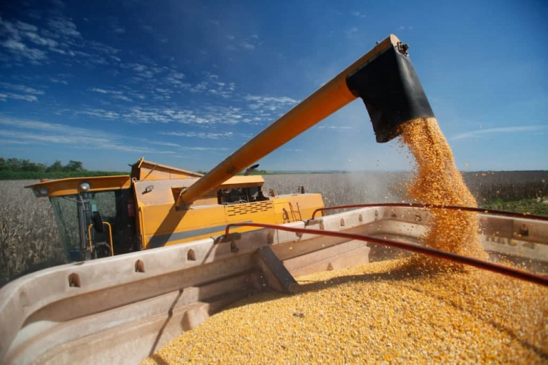 Экспортную пошлину на пшеницу из РФ увеличат до 4,3653 рубля за тонну